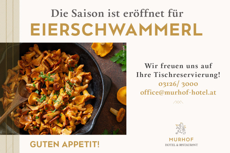 Die Eierschwammerl sind zurück!